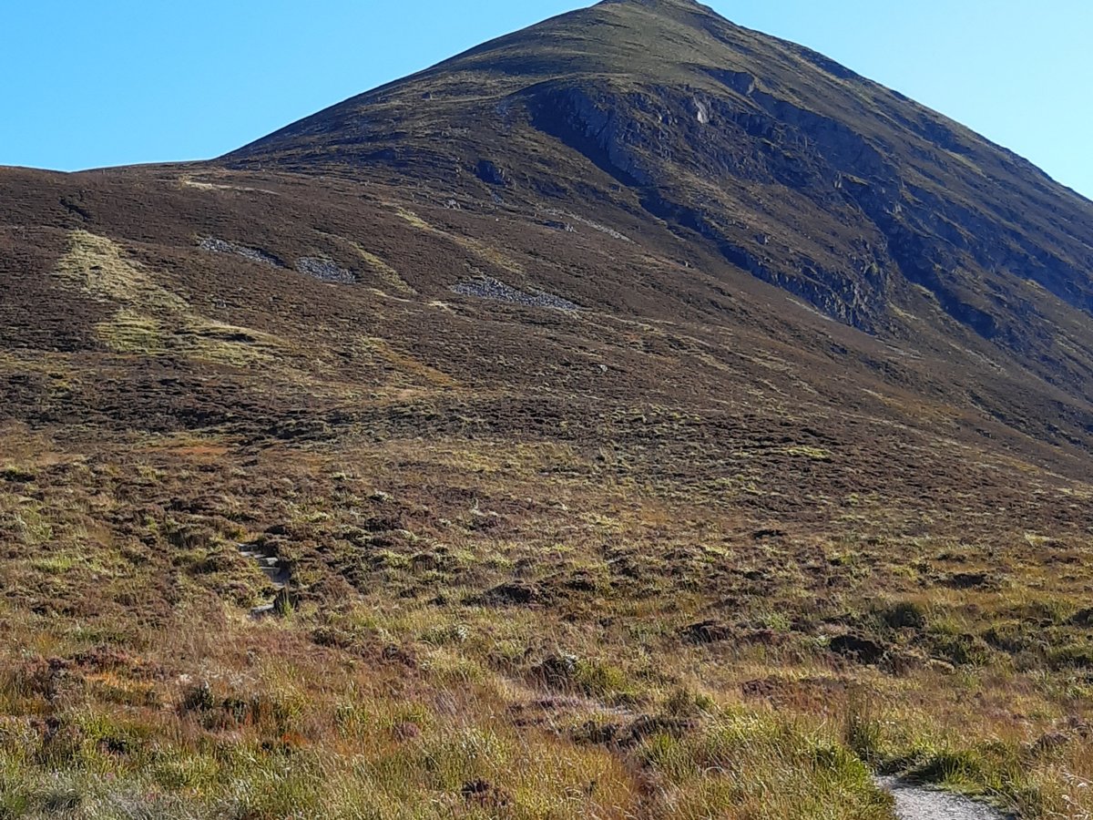 Edinburgh Medical Walkabouts