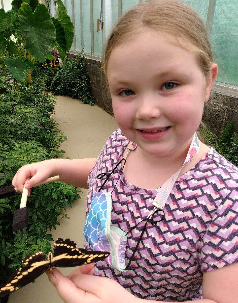 Dahlonega Butterfly Farm - All You Need to Know BEFORE You Go