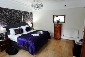 Room & Suite