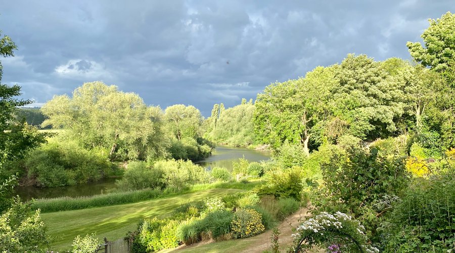 Looking down the river
