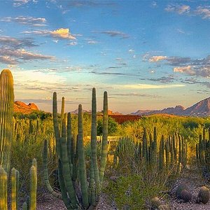 PAPAGO PARK (Phoenix) - 2022 What to Know BEFORE You Go