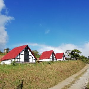 🌿Parque Temático de Naturaleza con Declaratoria Turística del ICT.  HERMOSAS VISTAS DE CARTAGO, TRES RÍOS Y SAN JOSÉ   🌿🏕️CAMPINGS 🌿🏡GLAMPINGS  🏡🏡SALA DE EVENTOS   ✔️Miradires ✔️Senderos ✔️Parrillas  ✔️Hamacas  ✔️Mini canopys  ✔️Toboganes de agua         artesanales  ✔️Fogatas  ✔️🐾Pet Friendly ✔️ Declaratoria Turística del ICT  📍A 20 min de San JOSÉ.  HACEMOS LA CARTA DE RESTRICCIÓN VEHICULAR