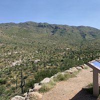 Saguaro National Park (Tucson) - All You Need to Know BEFORE You Go