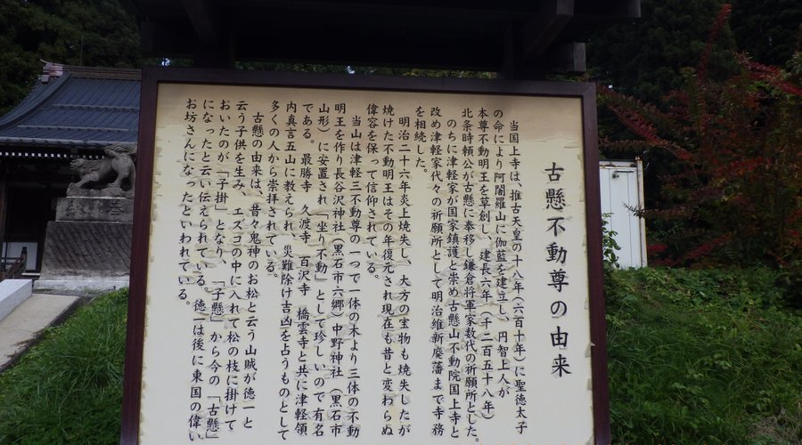 由来