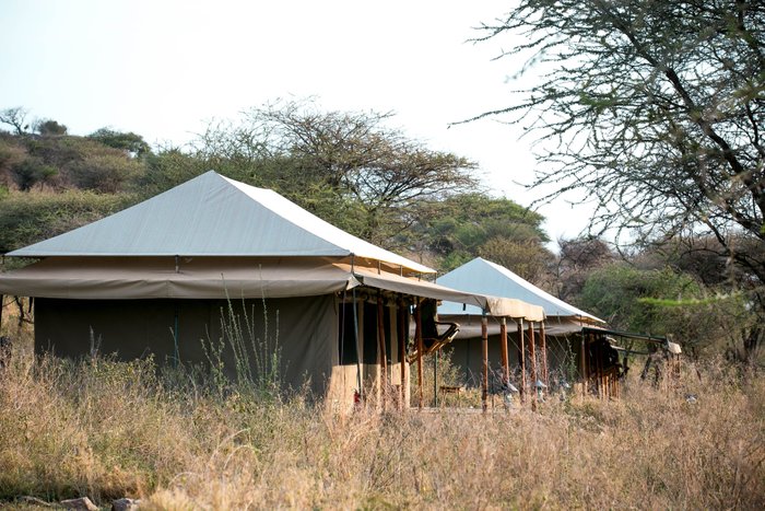 PEMBEZONI CAMP (SEASONAL CAMP) - Campground Reviews (Serengeti National  Park, Tanzania)