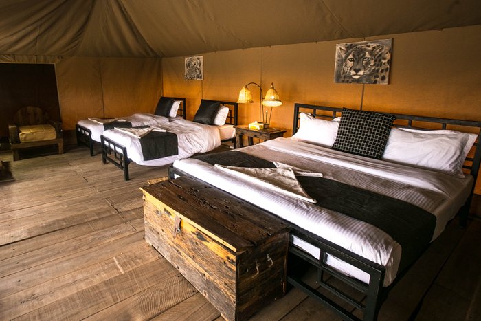 Kisura Serengeti Tented Camp, Get the true flavours of wilderness and  experience an awe-inspiring trip that you can truly cherish for a lifetime  at the Kisura Serengeti Camp