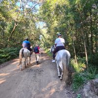 Scooter Tours through Tsitsikamma National Park