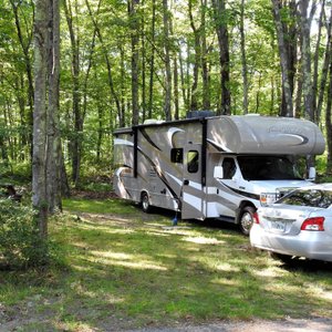 Site #41
