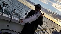 How to get to Reelly Addicted Sportfishing in Cottage Grove by Bus?