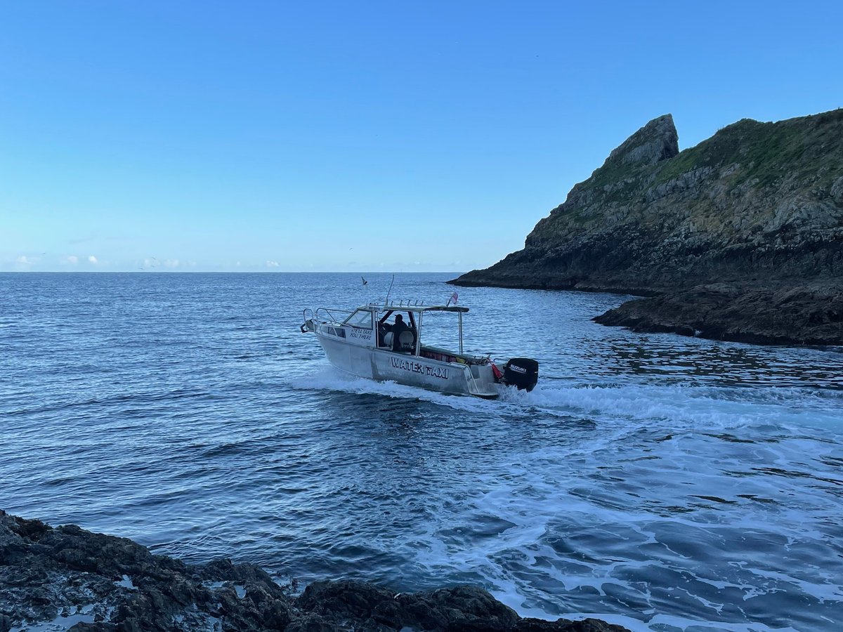 Bay of Islands Water Taxi - All You Need to Know BEFORE You Go (2024)