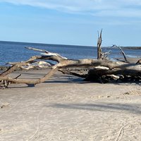 Big Talbot Island State Park (Jacksonville) - All You Need to Know ...