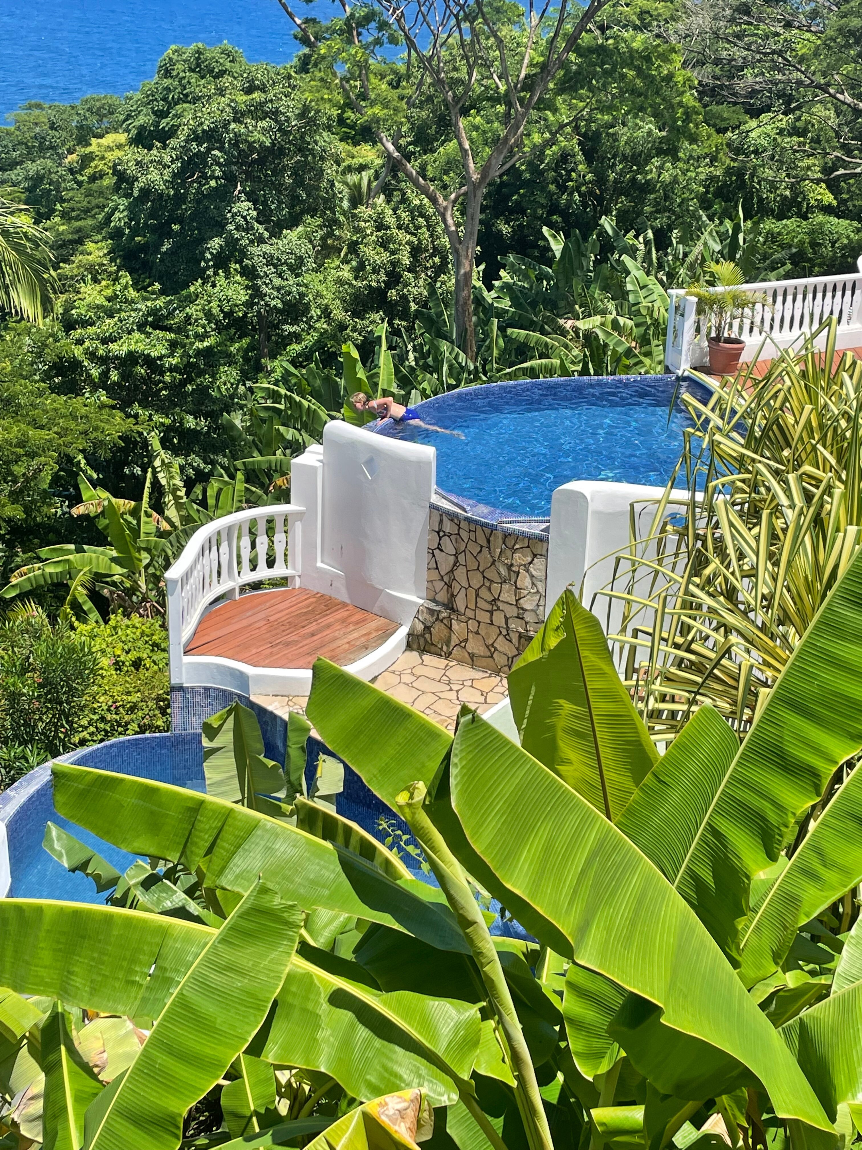 MOUNT EDGECOMBE BOUTIQUE HOTEL Updated 2024 Prices Guest house