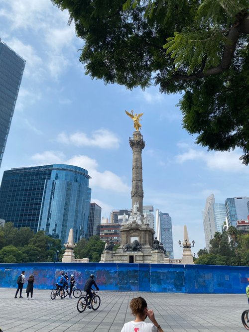 Mexico City Harper C review images