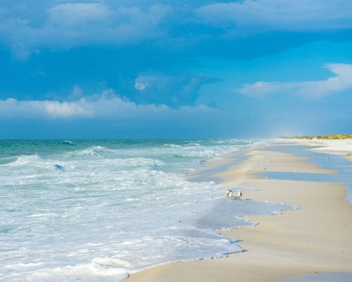 THE 15 BEST Things to Do in Pensacola Beach - 2022 (with Photos ...