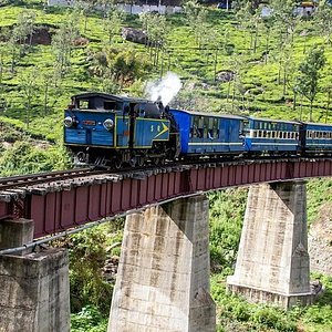 ooty tourist places in 1 day