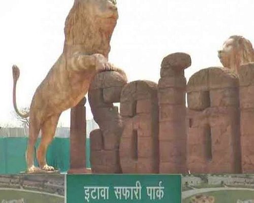 ভ্রমণ টিপস: বর্ষাকালে ইউপিতে এই জায়গাটি দেখার পরিকল্পনা করুন, এই জায়গাটি প্রকৃতি প্রেমীদের জন্য স্বর্গ।