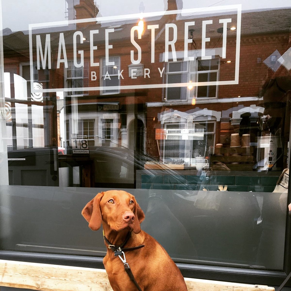 Magee Street Bakery Northampton Updated 2024 Restaurant Reviews