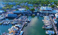 Live Bait Lounge at Key West Bait and Tackle - All You Need to