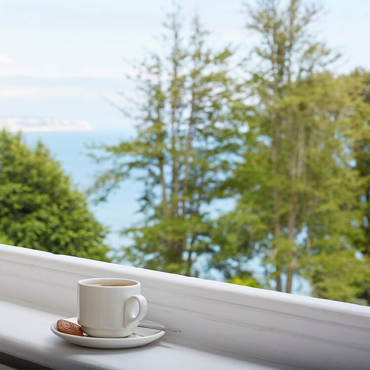 Hotel photo 61 of Luccombe Manor Country House Hotel.