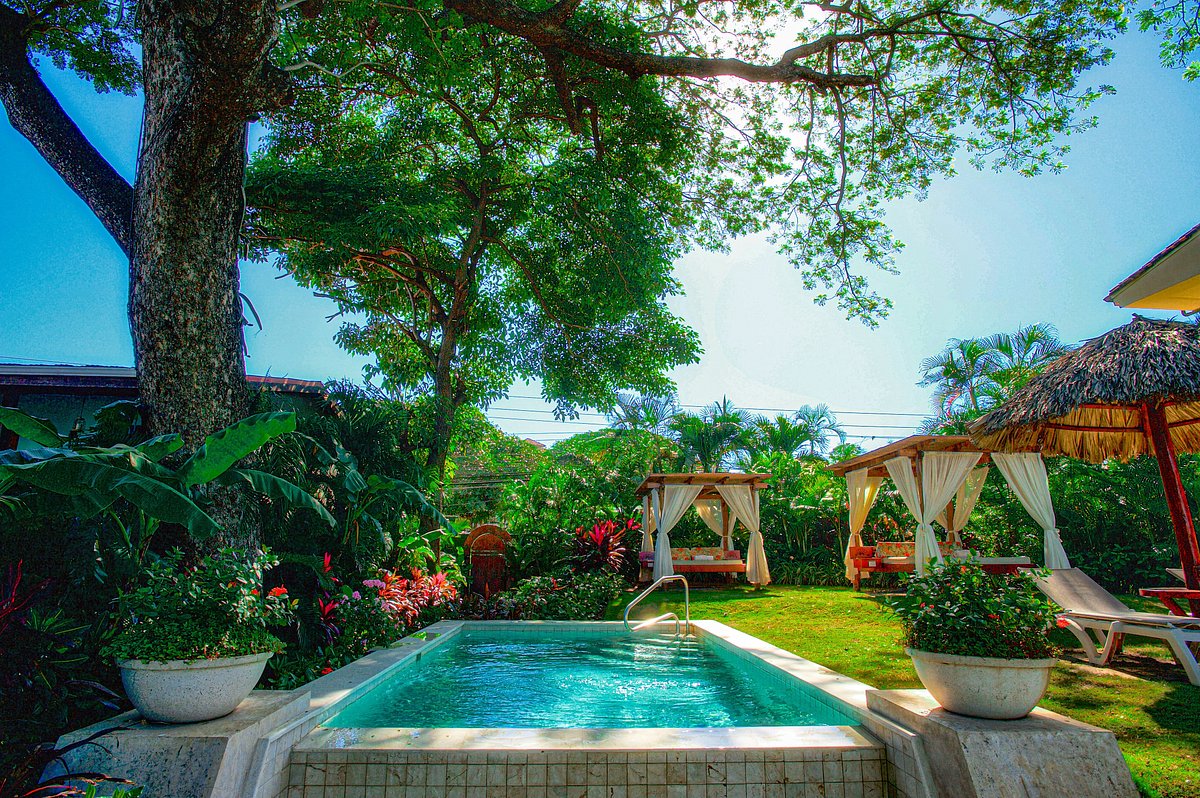 Jardin del Eden Boutique Hotel Pool Pictures & Reviews - Tripadvisor