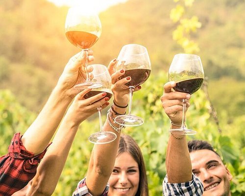 wine tasting tours barossa valley