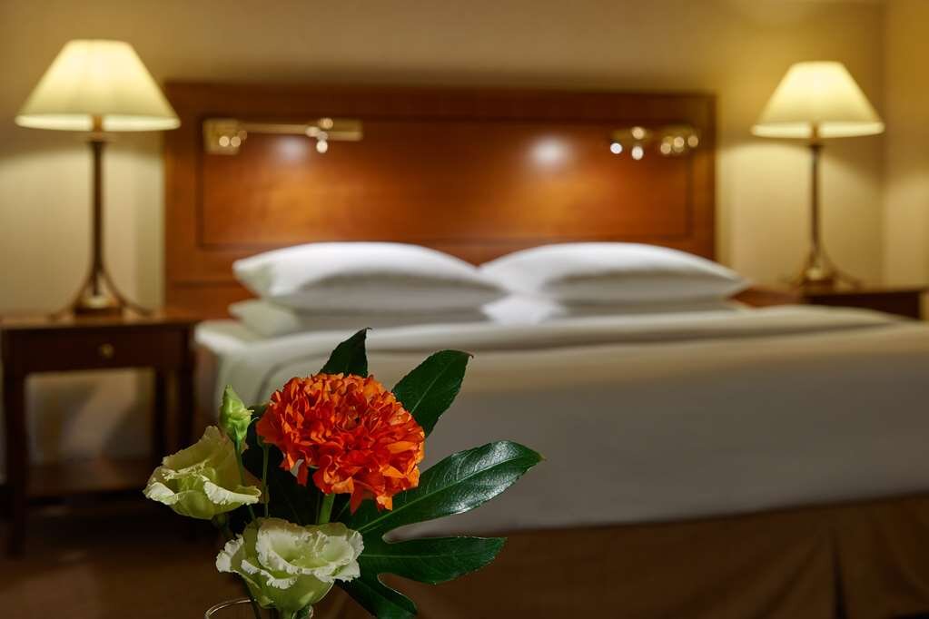 Hotel photo 22 of Hilton Mainz City.