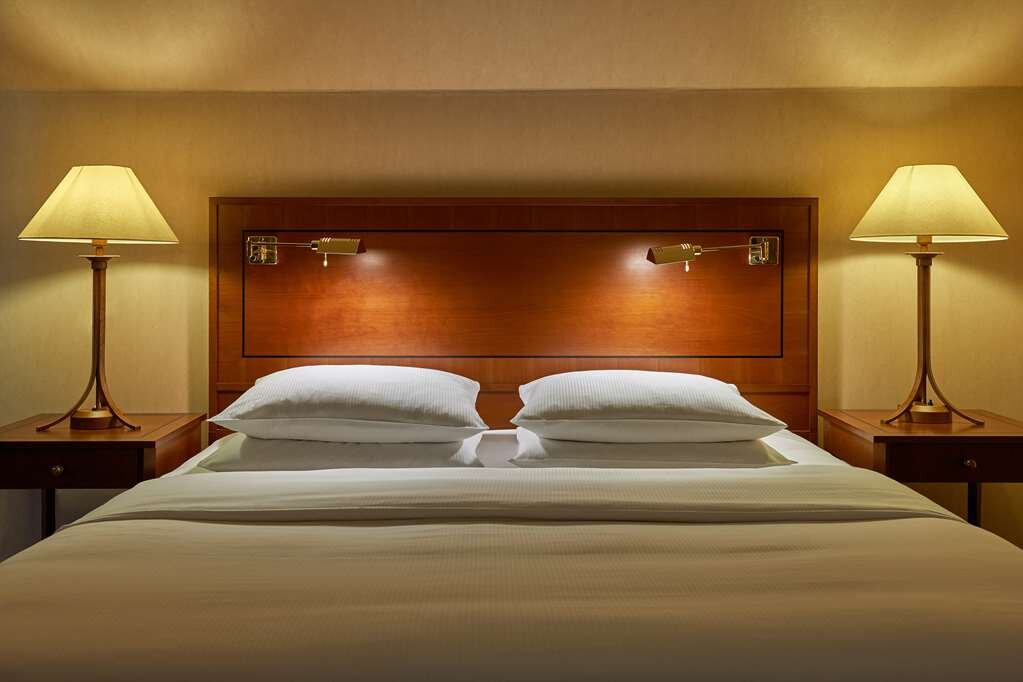 Hotel photo 9 of Hilton Mainz City.