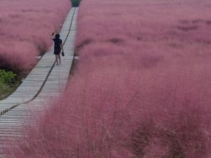 旅客