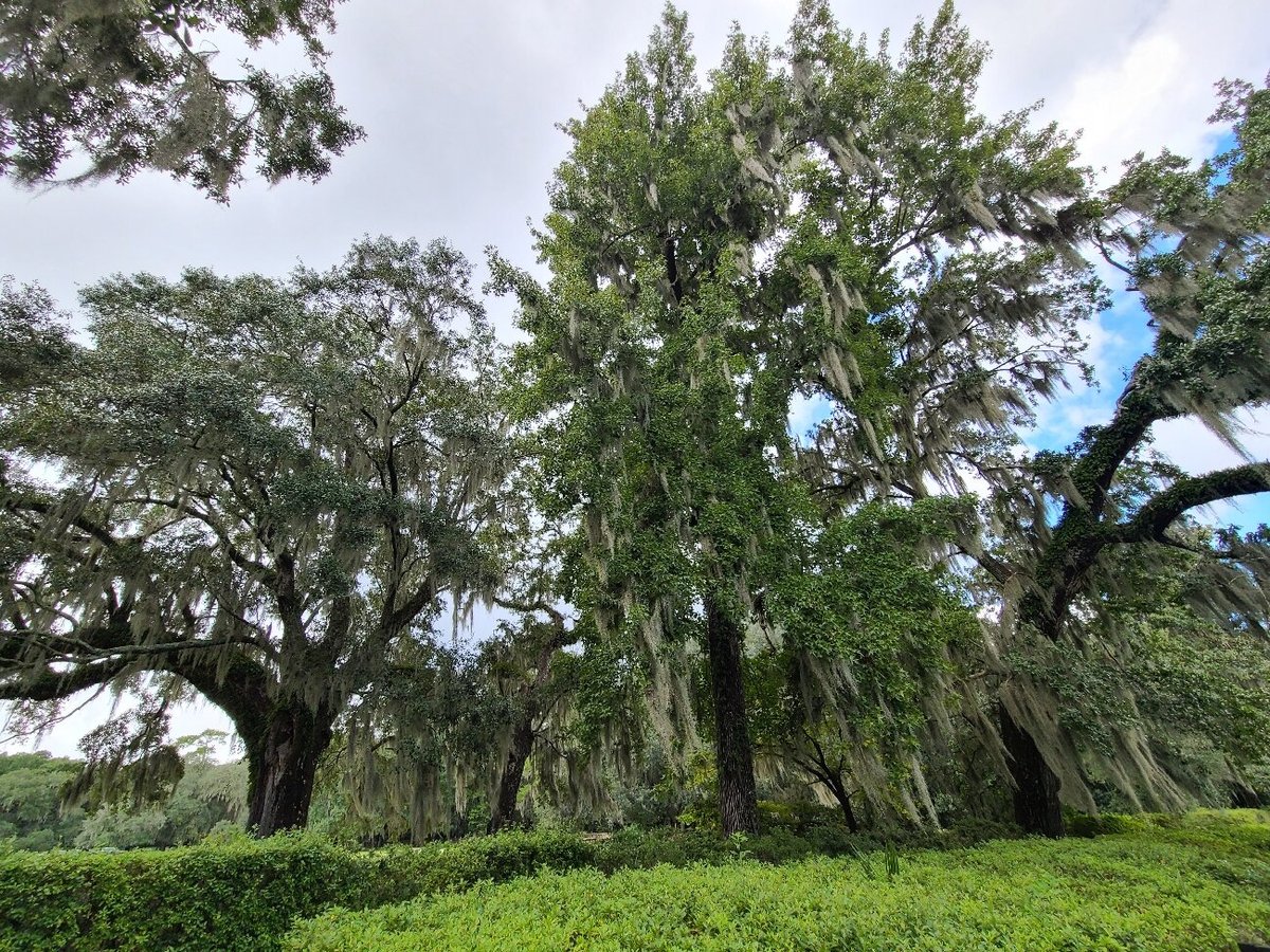 Segway of Charleston Day Tours (Mount Pleasant) - All You Need to Know ...