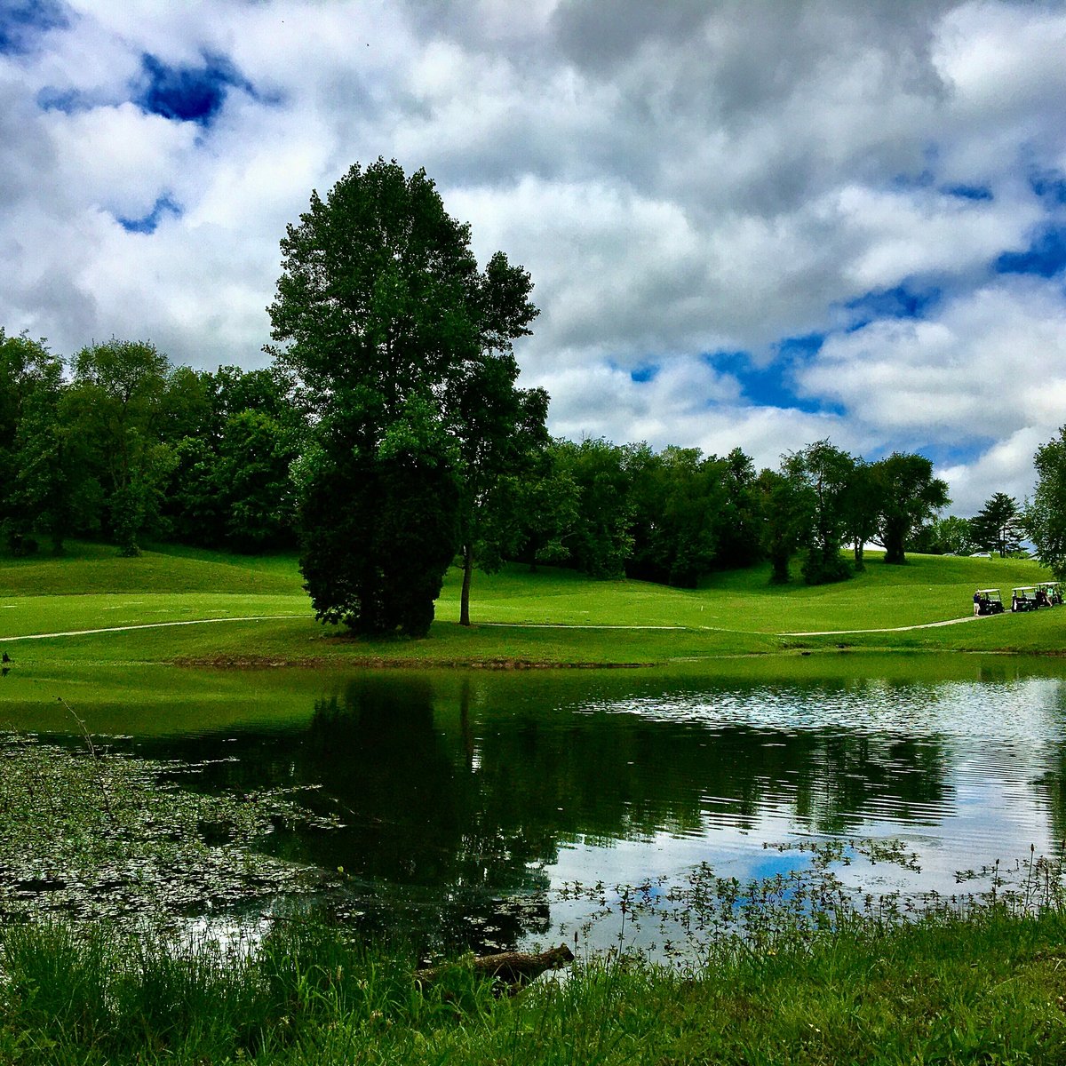 BUFFALO TRACE GOLF COURSE (Jasper) Tutto quello che c'è da sapere