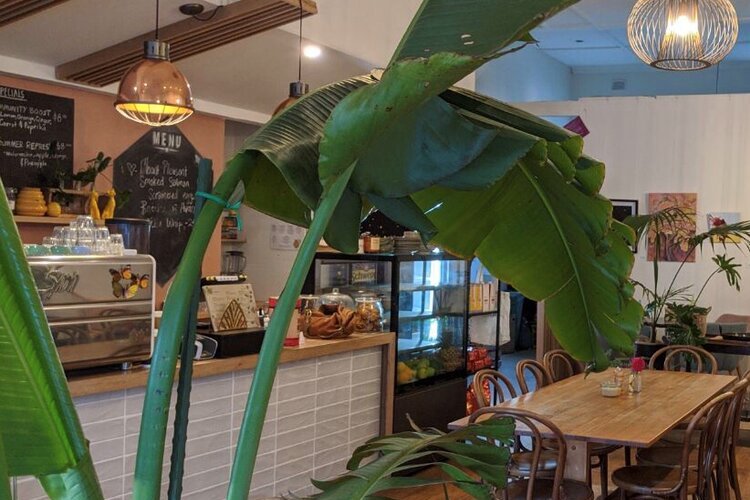We love our plants at the Hive