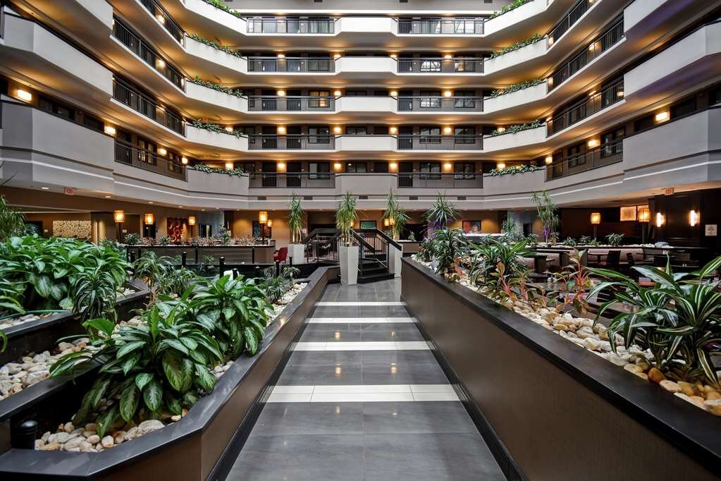 Hotel photo 31 of Embassy Suites by Hilton Dulles Airport.