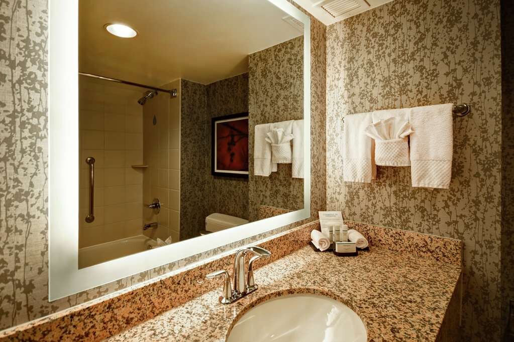 Hotel photo 66 of Embassy Suites by Hilton Dulles Airport.