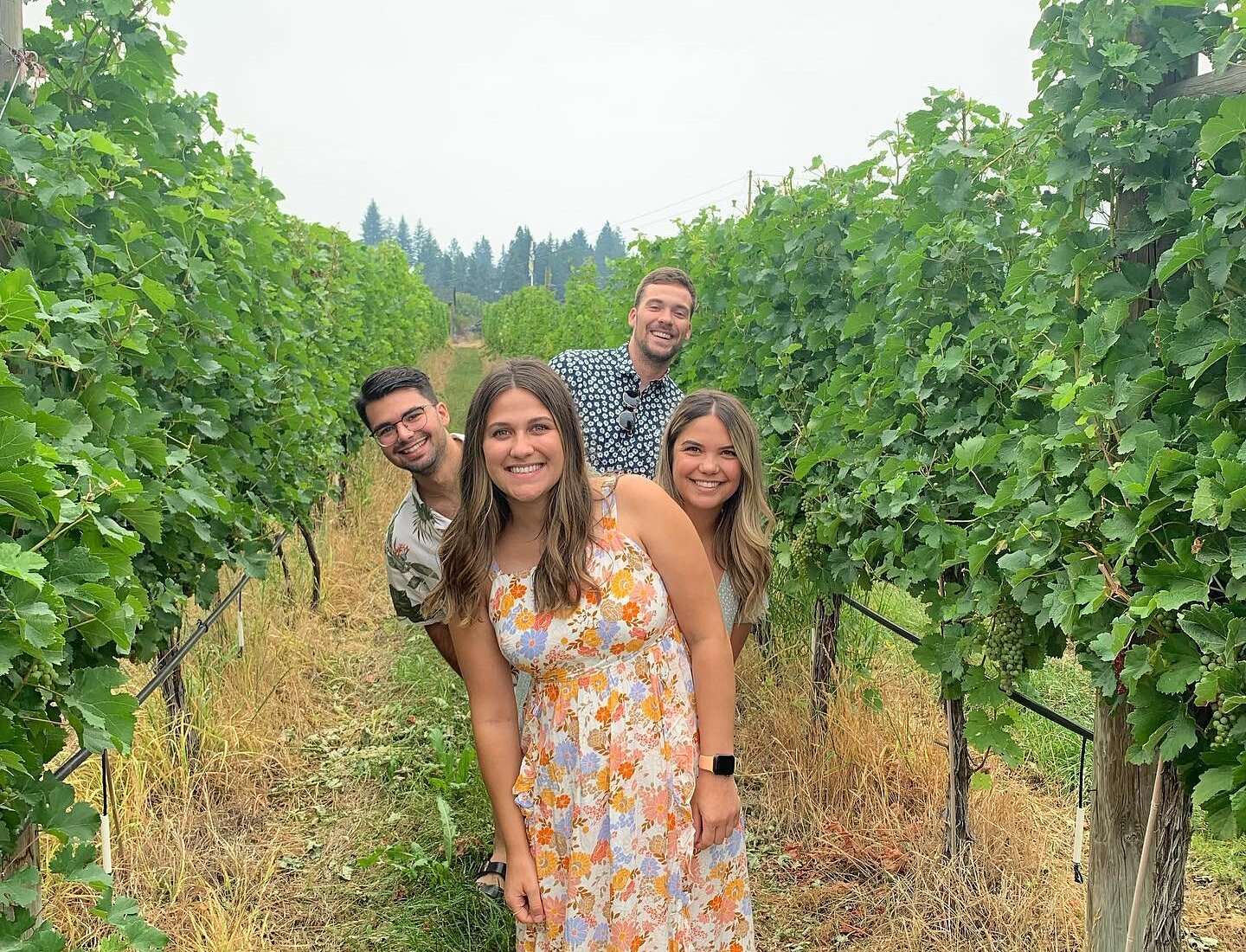 sip happens wine tours kelowna reviews