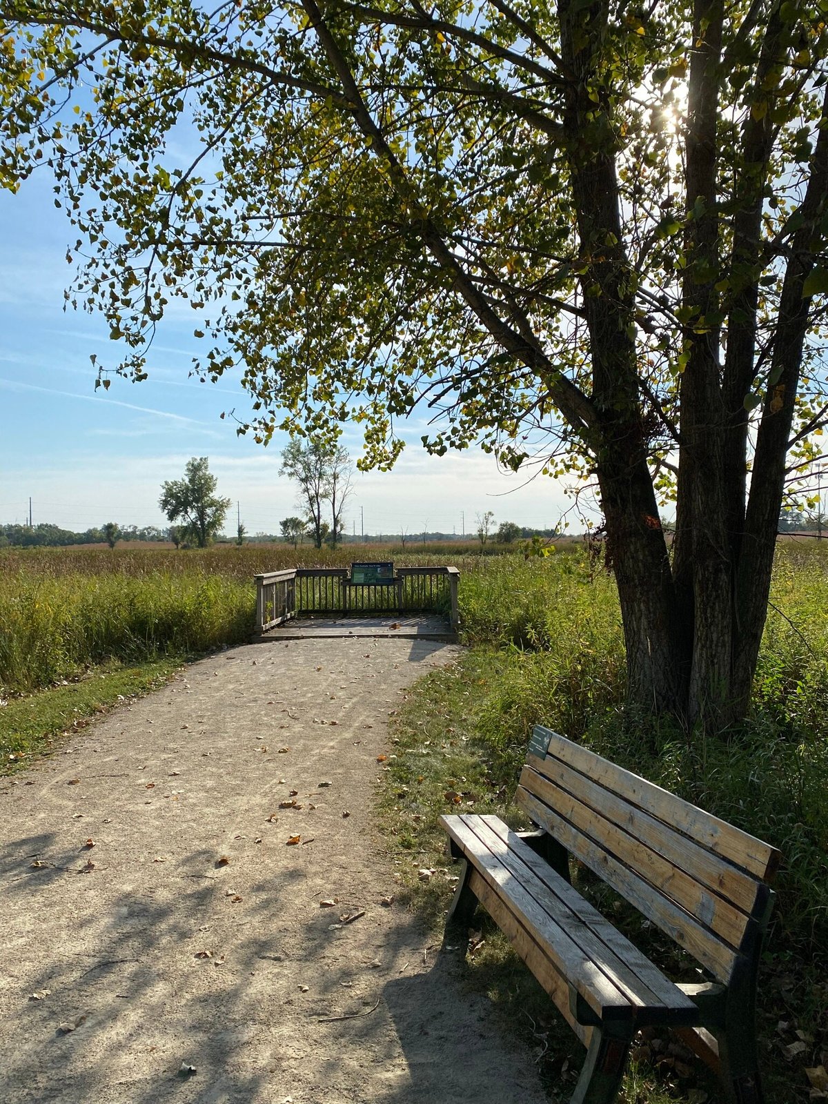 Escape To The Illinois River: Your Guide To James "Pate" Philip State Park