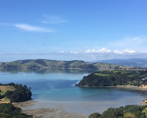 vineyard tours waiheke