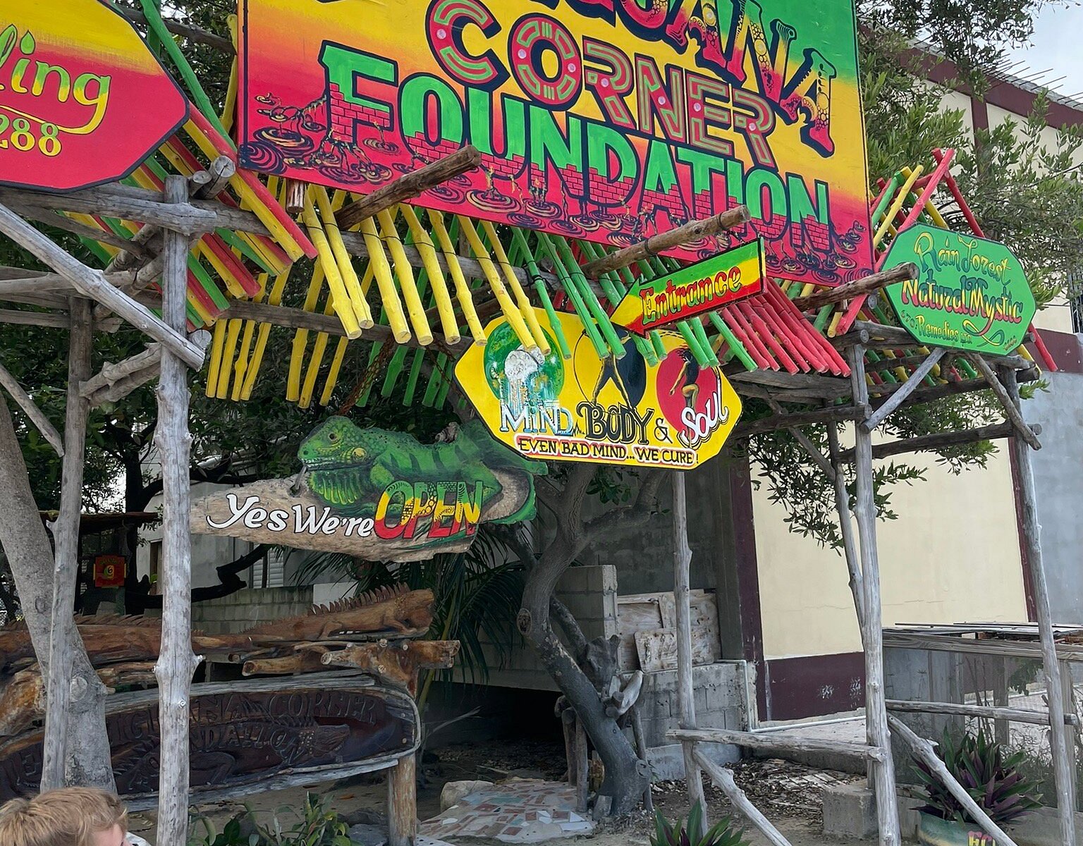 Eco Iguana Corner Foundation San Pedro All You Need To Know Before