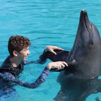 Dolphinaris Cancun - All You Need to Know BEFORE You Go