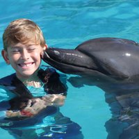 Dolphinaris Cancun - All You Need to Know BEFORE You Go