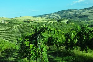 Viaggiatori