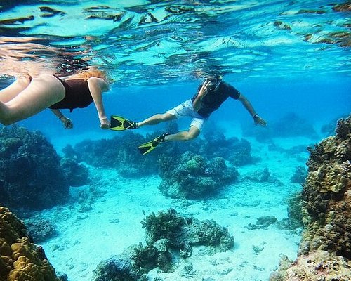 Plongée sous-marine  Site Corporate de Tahiti Tourisme