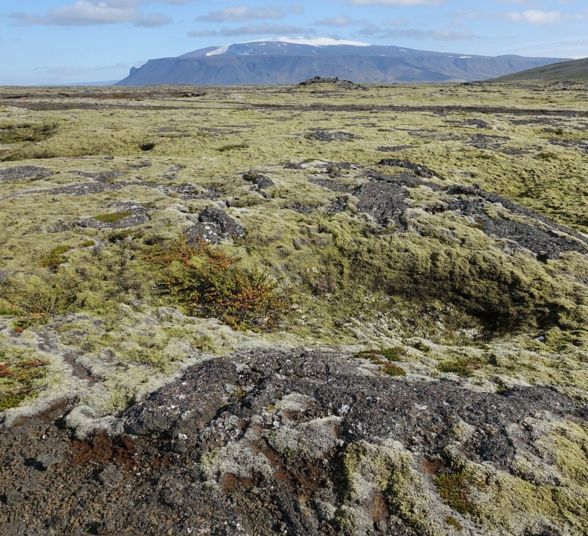 Hallmundarhraun Lava Caves (Husafell) - All You Need to Know BEFORE You Go