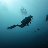 Maafushi Dive and Water Sports