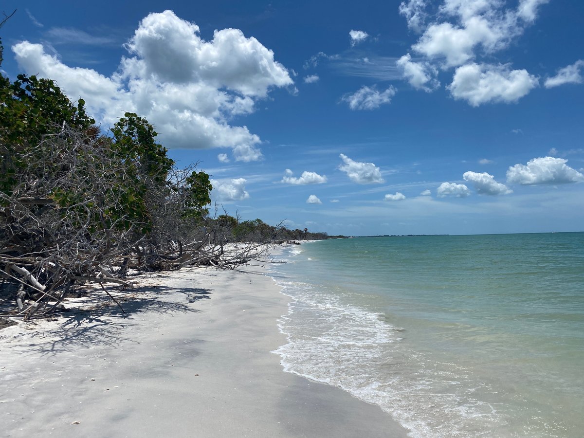 NORTH CAPTIVA ISLAND BEACHES - 2022 All You Need to Know BEFORE You Go ...