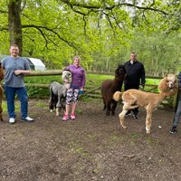 White Peak Alpaca Farm (Mobberley) - All You Need to Know BEFORE You Go