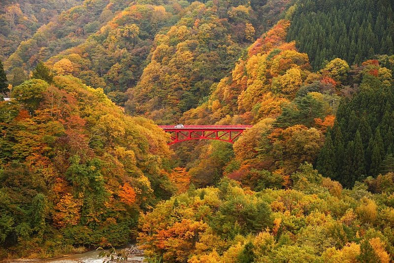 緑霞山宿