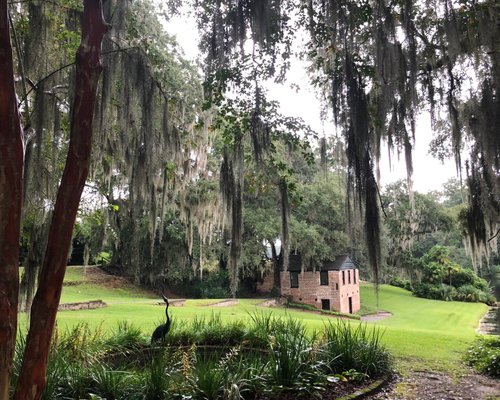 10 Coisas para Fazer com Filhos em Charleston - Hellotickets