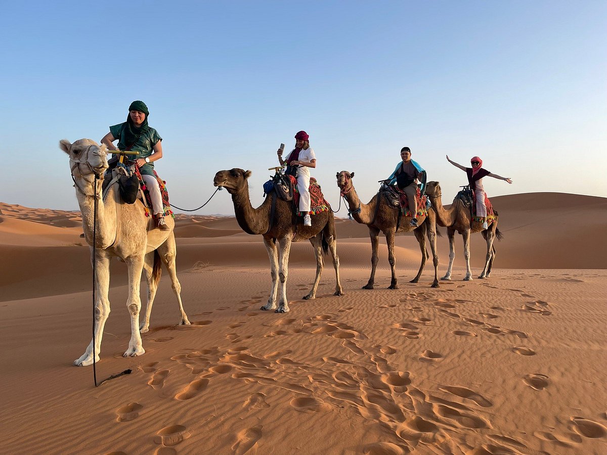 morocco escorted tours reviews