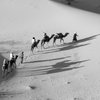 DesertDream1970