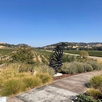 Halter Ranch Vineyard - All You Need to Know BEFORE You Go (2024)